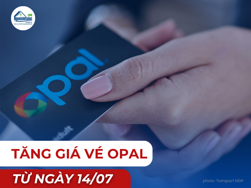 Giá vé Opal tăng từ ngày 14/07