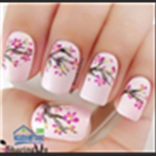 Shop ở vùng Williamtown cần thợ nails