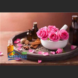 Cần thợ massage vùng St kilda