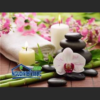 Shop massage spa beauty and personal care cần gấp nhiều nhân viên