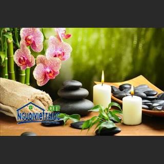 Cần tuyển nhân viên nữ massage và tiếp khách làm tại Fairfield