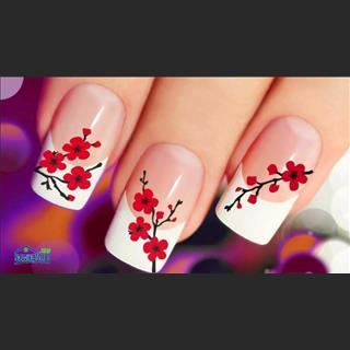Cần gấp thợ bột lương cao,full time quanh năm cho shop nail ở Bathurst
