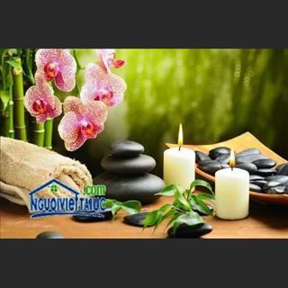Cần gấp nữ masage vùng Fairfield, NSW, lương tốt, giờ làm linh hoạt