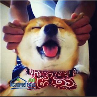 Cần tìm thợ nữ làm massage trả lương cao ở Sunshine
