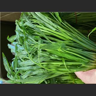 Cần người làm farm: cắt rau, lựa rau, nhổ cỏ gần Melbourne, việc đều