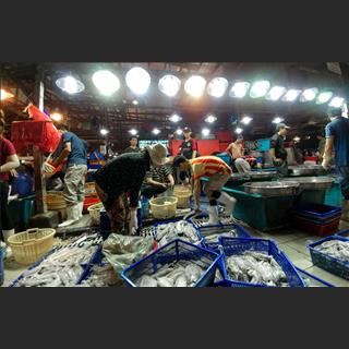 Shop cá trong shopping centre vùng keilor cần tìm người bán hàng