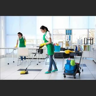 Công ty cần người phụ làm deep cleaning ở vùng West Melbourne