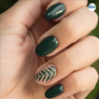 Tuyển thợ chân tay nước, sơn shellac ở Camberwell, Boxhill