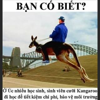 Nam 18 tuổi cần tìm việc làm