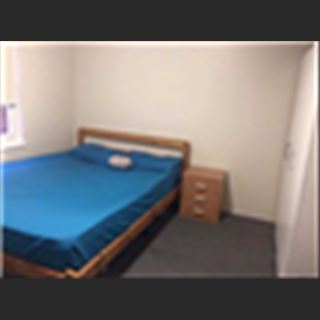 Master room for share - Kingsford - close to UNSW
