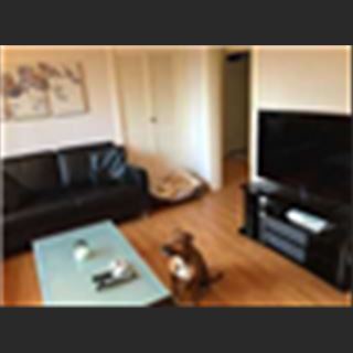 Renting out 1 master room in Sydney