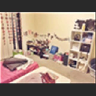 Double Room in Sydney CBD for rent