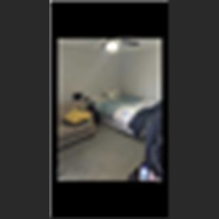 Bungalow vùng Epping   có 1 phòng ngủ cần cho thuê