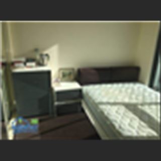 Cho thuê phòng master và single ở Melbourne, view đẹp