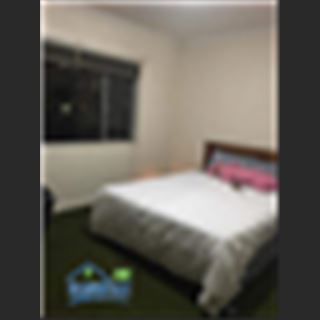 Cần tìm một bạn nữ shared phòng ngắn hạn tại Burwood