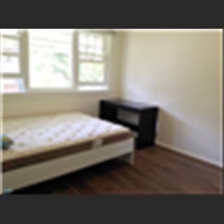 Single and Master rooms available now in Chester Hill 2162, NSW cho share giá sinh viên