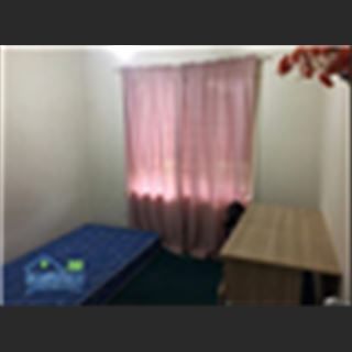 Phòng single vùng St Albans cần cho thuê.