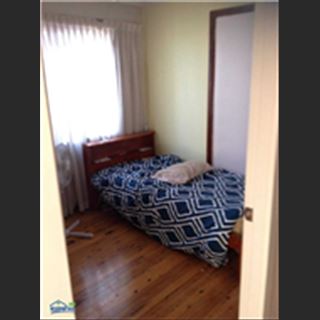 Nhà ở Bankstown dư phòng single cần cho thuê không nuôi Pet