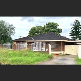 Cho thuê granny flat mới tân trang vùng Cabramatta