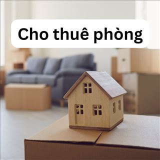 Phòng đơn cho thuê