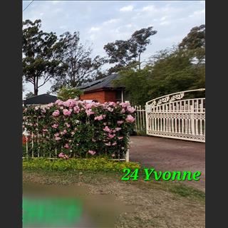 Granny flat cho thuê 